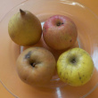 Dégustation 3 pommes et 1 poire
