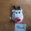 MS Atelier Pâte à modeler Vache (brevet niveau 2) NOLAN